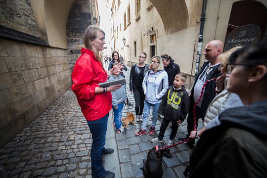 Tour image 13