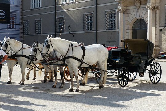 Tour image 9